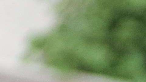 "Mi objetivo es proteger a la parte más valiosa de nuestra sociedad y futuro: los niños", dijo Melania