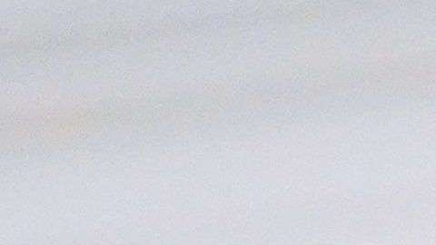 Esto le causaría a Trump una crisis con la base conservadora del partido republicano