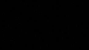 Woody tiene apellido.