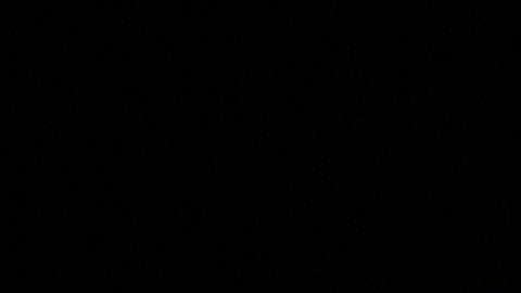 Woody tiene apellido.