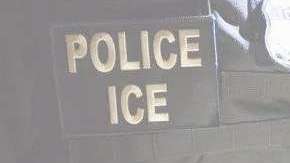 Oficiales de ICE detuvieron al menor en su residencia en Long Island.