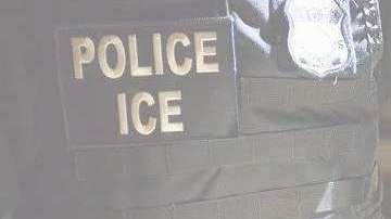 Oficiales de ICE detuvieron al menor en su residencia en Long Island.