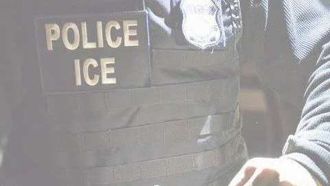 Oficiales de ICE detuvieron al menor en su residencia en Long Island.