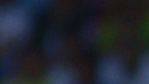 América recibe a Lobos BUAP, en duelo de la jornada 5 del Clausura 2018