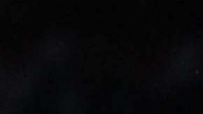 Los Pumas de la UNAM reciben a Tiburones Rojos, en duelo de la fecha 7 de la Liga MX