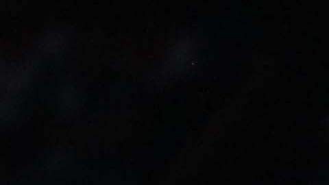 Los Pumas de la UNAM reciben a Tiburones Rojos, en duelo de la fecha 7 de la Liga MX