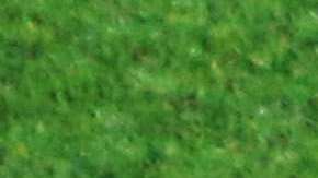 Chivas recibe a Santos, en duelo de la fecha 6 de la Liga MX