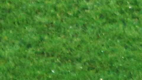 Chivas recibe a Santos, en duelo de la fecha 6 de la Liga MX