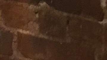 Victoria Flores, cofundadora de Lux Beauty Club./A.B.N.