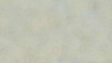 Julieta Venegas en compañía de su esposo, Pablo Braun.