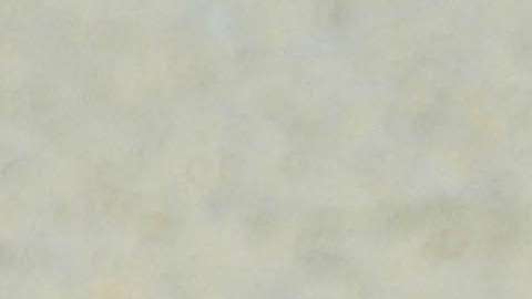 Julieta Venegas en compañía de su esposo, Pablo Braun.