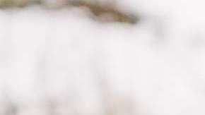 Siempre carga con cables de corriente.