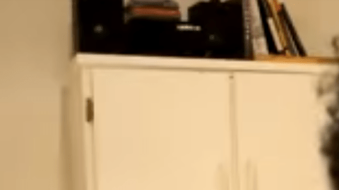 "La Nana Pelucas" era el personaje que Pamika Montenegro interpretaba en YouTube.