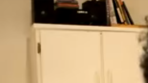 "La Nana Pelucas" era el personaje que Pamika Montenegro interpretaba en YouTube.