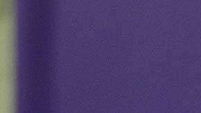 La primera vez que los Lakers fueron multados por culpa de Johnson, fue nada menos que por $500,000.