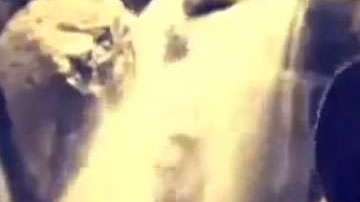 Lucía Méndez mantiene su rivalidad con Verónica Castro.