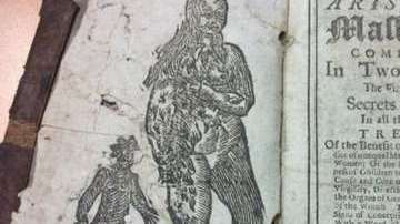 El manual es una especie de guía con consejos para ambos sexos para el momento de la copulación.