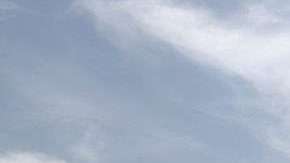 Violencia en México.