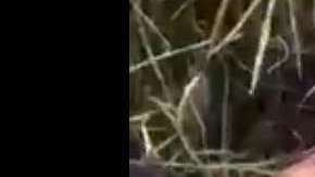 Como resultado del intercambio, un policía murió y cinco resultaron heridos.