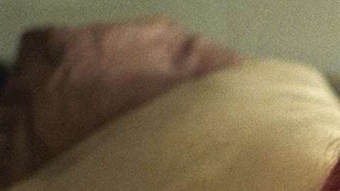 Quizá no sean historias con miel, pero les gustarán.