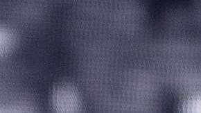 La mexicana Natalia Lafourcade podría subir al escenario.