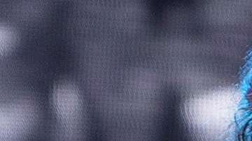 La mexicana Natalia Lafourcade podría subir al escenario.