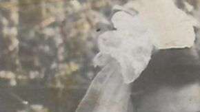 David y Perla se conocieron a través de una de las alambradas de un campo de concentración.