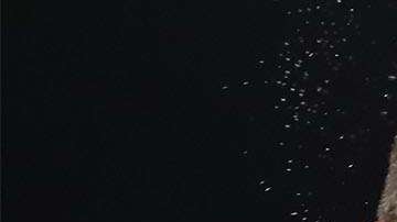 El filipino Donnie Nietes castigó al retador argentino Juan Carlos Reveco cuando se decidió a hacerlo y lo terminó en el round 7 en El Forum de Inglewood.