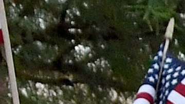 p2daca PRINCIPAL getty