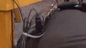 Los oficiales de seguridad en la corte sometieron a Margraves.