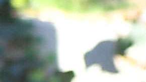 Paris Jackson saliendo de comprar marihuana en Los Ángeles.