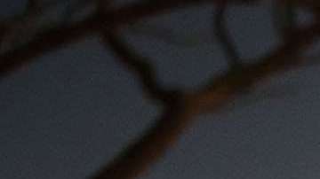 Dolientes reunidos en el servicio conmemorativo para las víctimas del tiroteo en Parkland