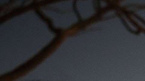 Dolientes reunidos en el servicio conmemorativo para las víctimas del tiroteo en Parkland