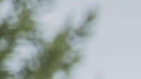 La parte positiva del conflicto es poder madurar y aprender de él.