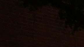 Foto ilustrativa de una patrulla del NYPD.