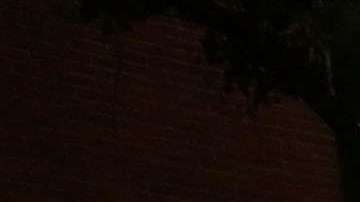 Foto ilustrativa de una patrulla del NYPD.