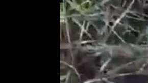 Enfrentamiento entre policías y narcos