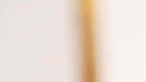 Salma Hayek radiante en los Premios Oscar 2017