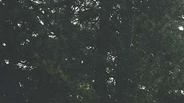 La propuesta mejoraría los caminos.