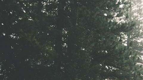 La propuesta mejoraría los caminos.