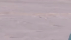 Desde Siberia nos llegan estas imágenes.