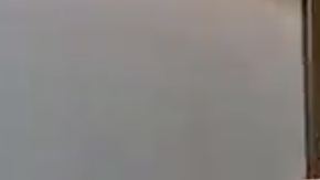 Perro sufre terrible accidente ferroviario pero se recupera rápidamente.