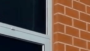 Esta niña quiere vender a su hermano a la tienda de mascotas.