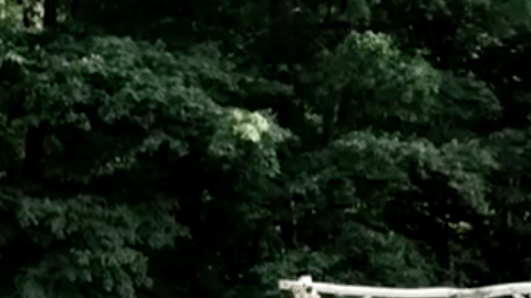 Boda de Kait Olidis, a la que su padre no pudo acudir porque falleció antes.