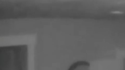 Las cámaras de video vigilancia capturaron a los ladrones entrando en el domicilio mientras la familia estaba durmiendo.