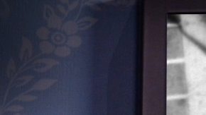 El perro de Walt Disney.