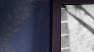 El perro de Walt Disney.