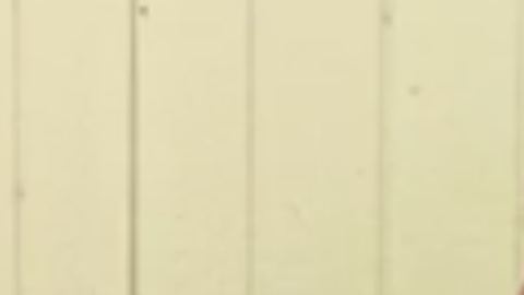 Un preso se escapa y un trabajador de la construcción lo detiene.