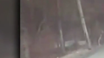 Una madre  y su hija casi son arrolladas por un conductor imprudente.