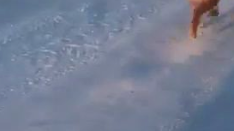 Una conductora de autobús mantiene una rutina especial de lunes a viernes, realizando una parada para alimentar a un perro callejero.